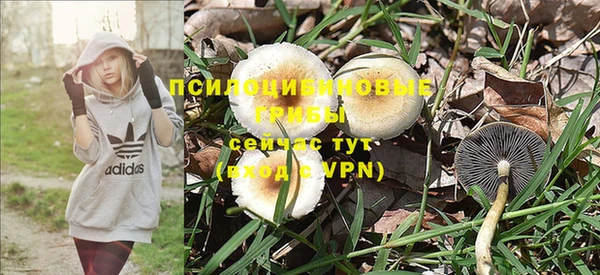 спайс Белоозёрский