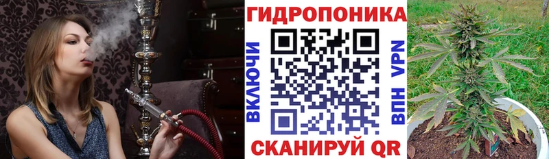 продажа наркотиков  Обь  Бошки Шишки White Widow 